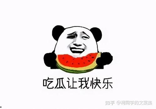 回复吃瓜文案搞笑,那些让人捧腹的吃瓜瞬间