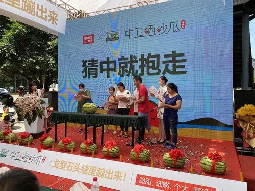 吃瓜发布会,揭秘娱乐圈幕后故事与热点事件