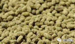 封丘吃瓜视频,揭秘当地特色美食背后的故事