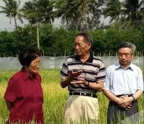 嵩嵩同学吃瓜,揭秘校园里的那些“瓜”