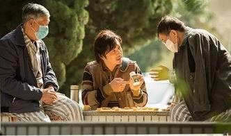 心灵吃瓜爽文,揭秘吃瓜群众的爽文世界