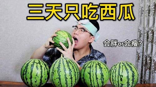 减肥时间可以吃瓜,跟随减肥时间表，轻松享受美味瓜果